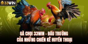 Gà Chọi 33Win - Đấu Trường Của Những Chiến Kê Huyền Thoại