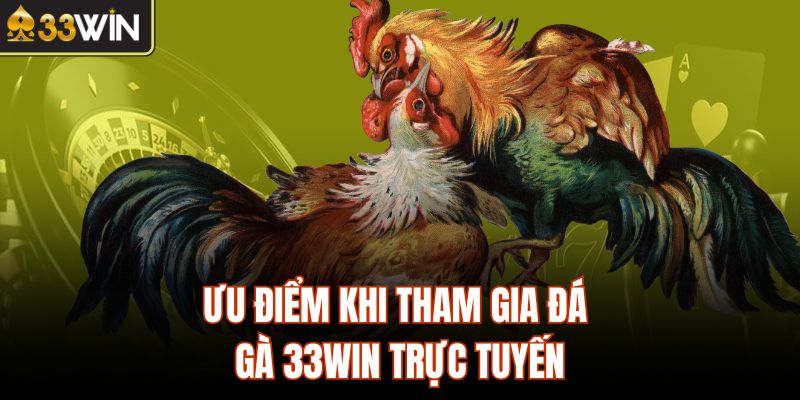 Ưu điểm khi tham gia đá gà 33Win trực tuyến